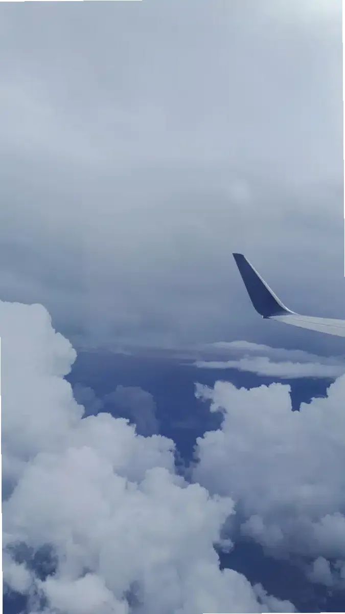 Access Recovery Solutions — photo thumbnail 3