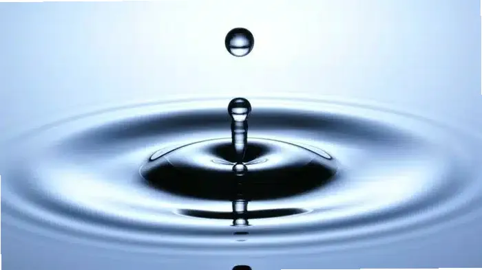 Access Recovery Solutions — photo thumbnail 5