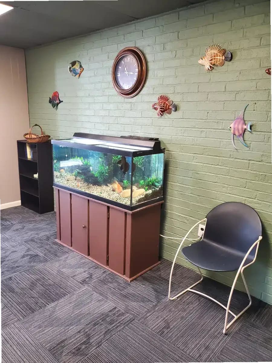 Active Recovery — photo thumbnail 3