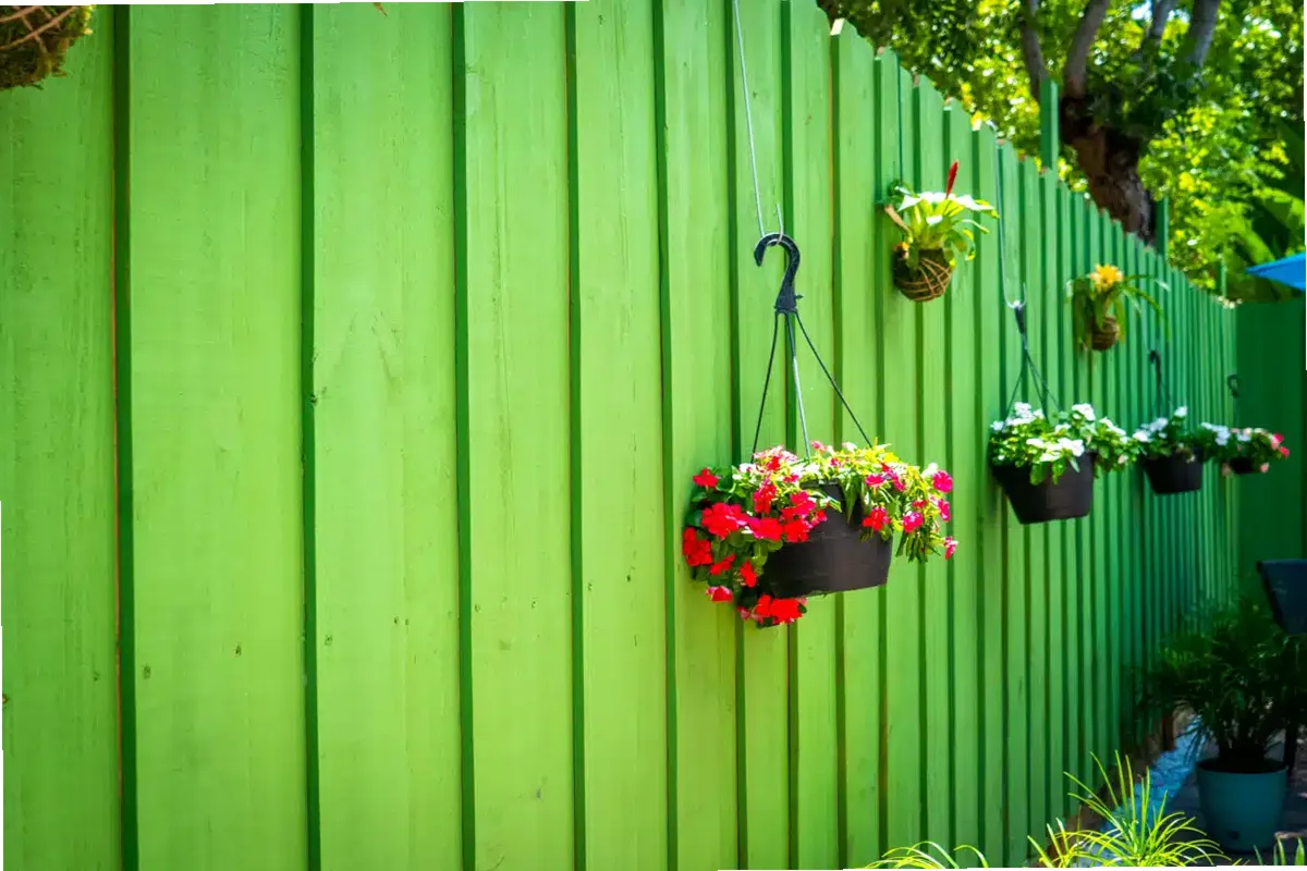 Aloha Detox Center LLC — photo thumbnail 6