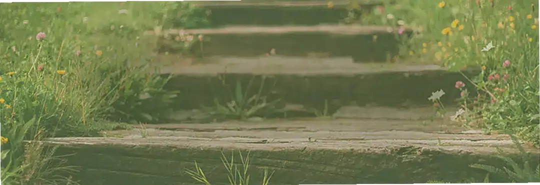 Aquila Recovery of Virginia — photo thumbnail 3