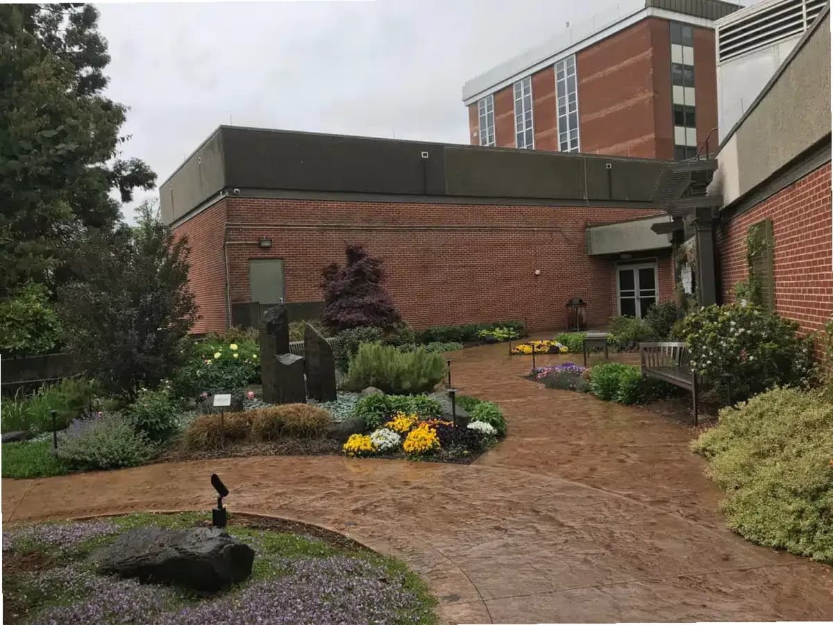 Atrium Health Mercy — photo thumbnail 6