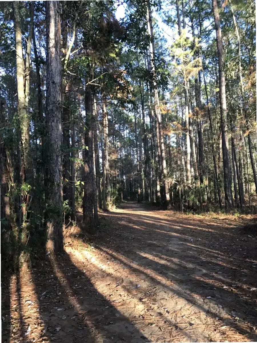 Augustine Recovery Center — photo thumbnail 3