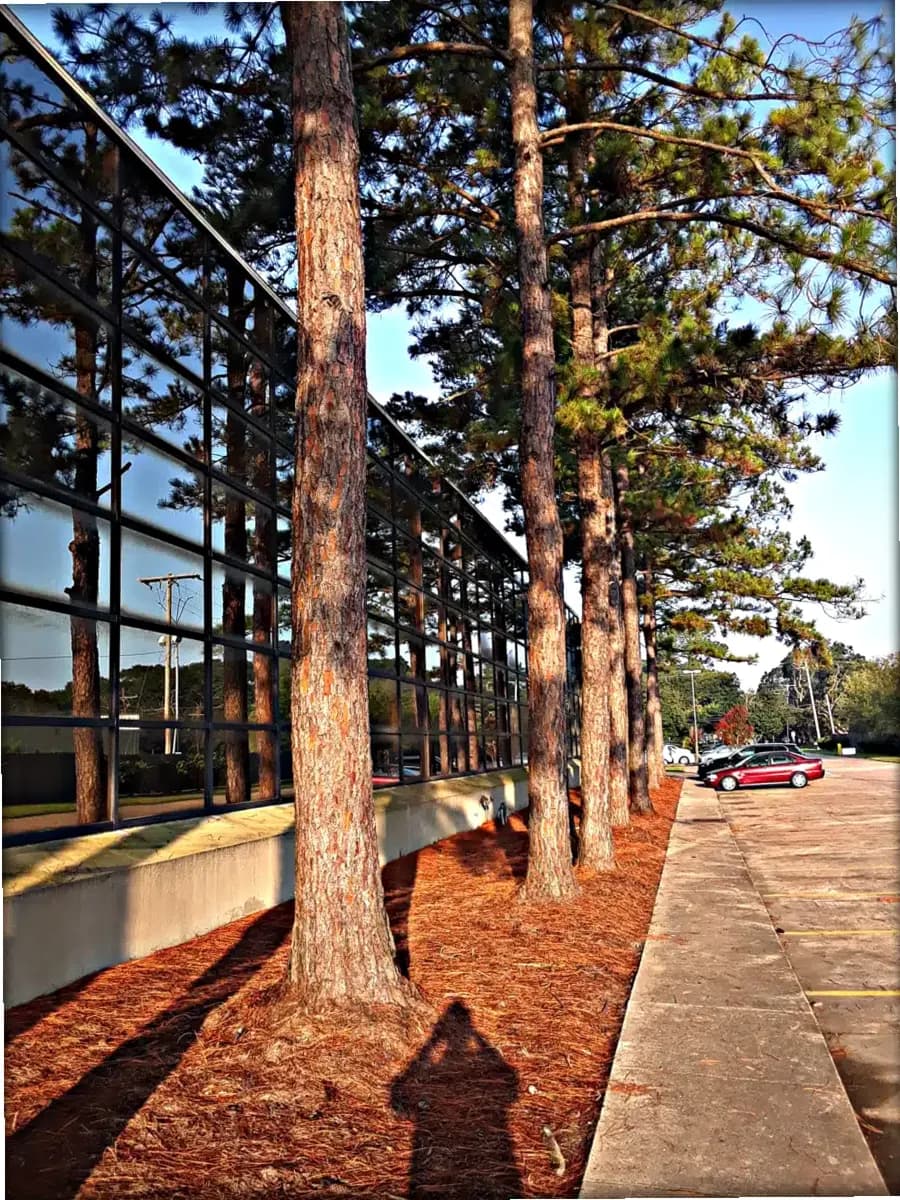 BHG Lake Charles Treatment Center — photo thumbnail 2