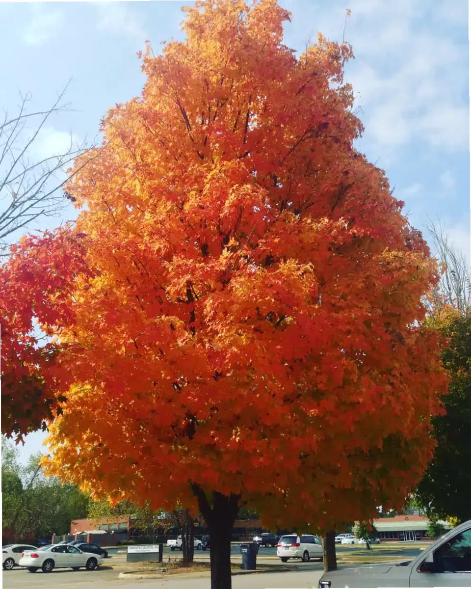 BHG Medical Services — photo thumbnail 6