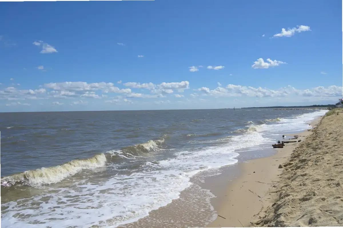 Banyan Delaware — photo thumbnail 9