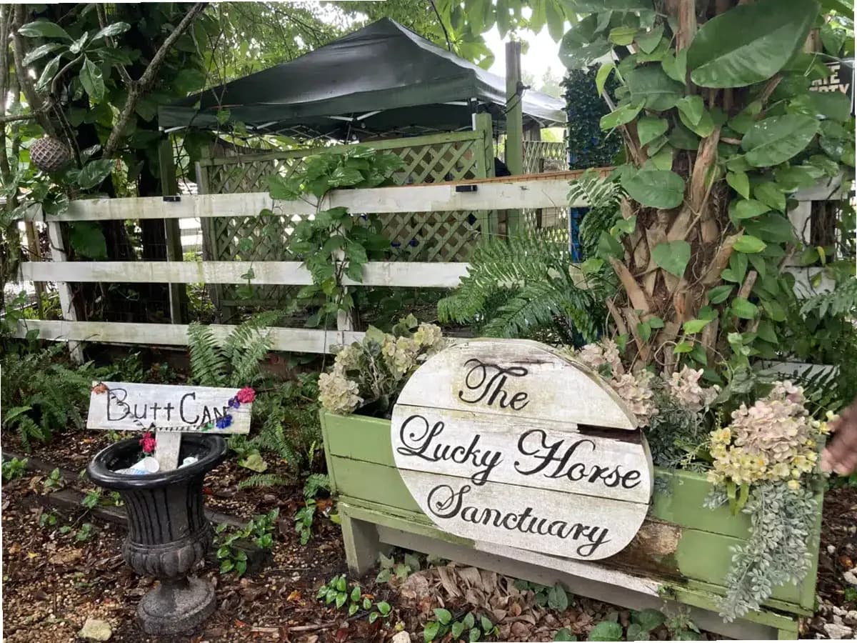 Banyan Pompano — photo thumbnail 8