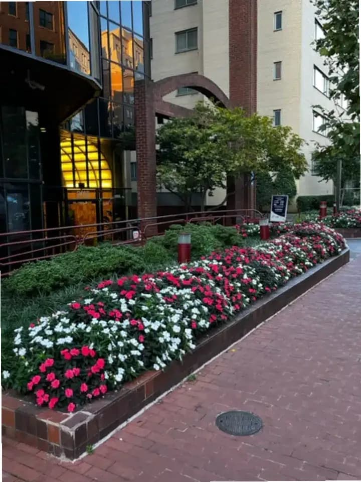 BayMark Health Services of West Virgin — photo thumbnail 4