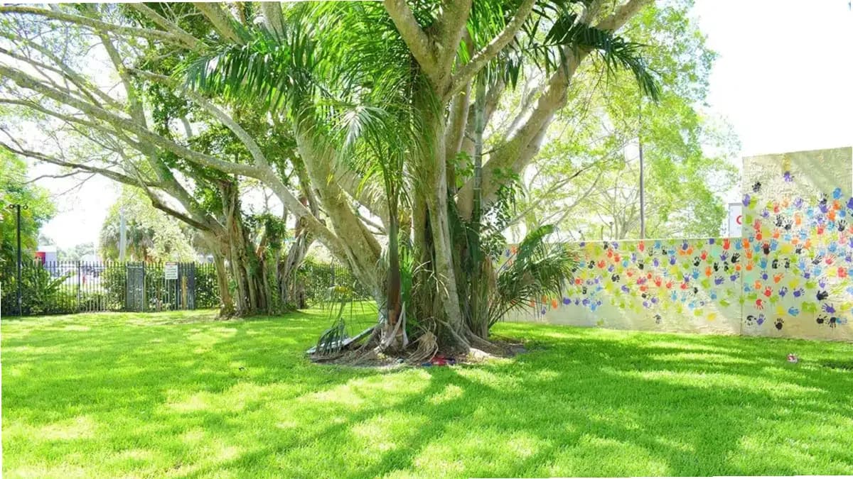 Behavioral Health of the Palm Beaches — photo thumbnail 8
