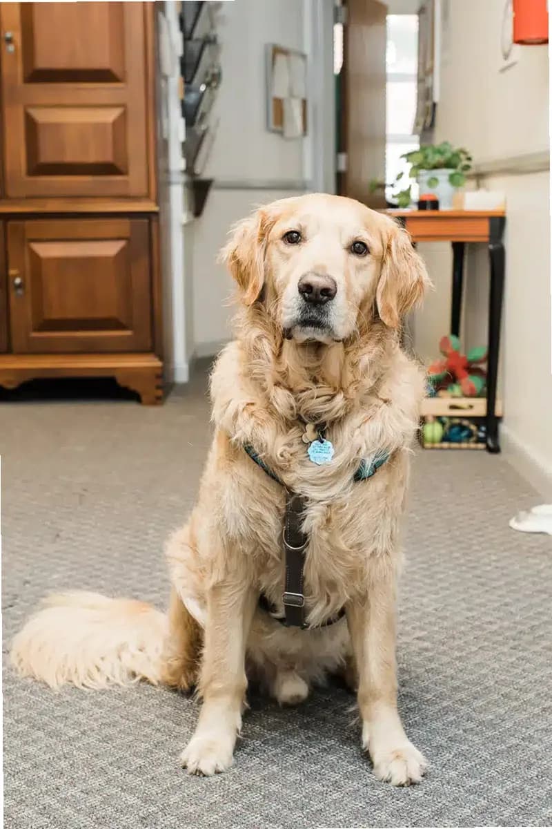 Bridging the Gaps Inc — photo thumbnail 8