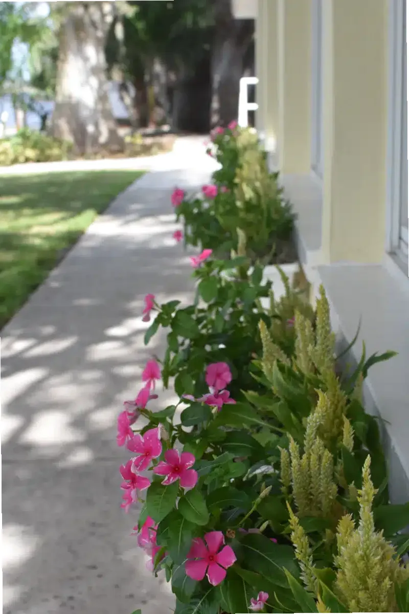 Celadon Recovery Outpatient Services — photo thumbnail 10