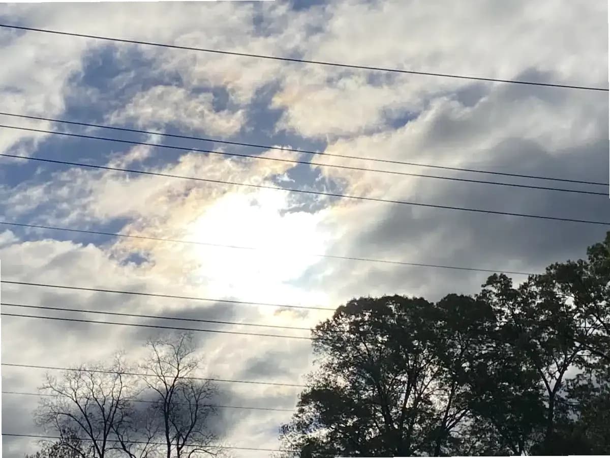 Changing Phases Behavior Support Inc