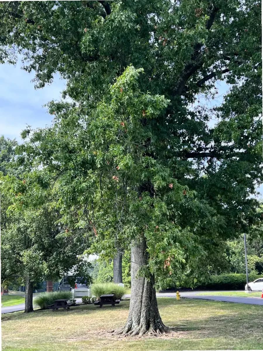 Childrens Home of Northern Kentucky — photo thumbnail 8