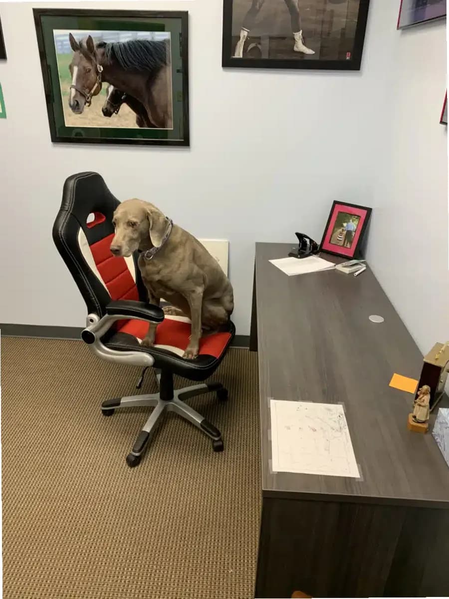 DeNova — photo thumbnail 2