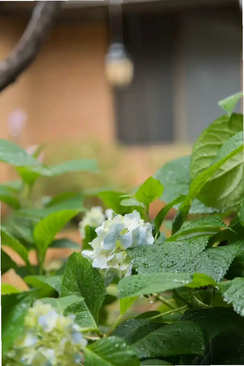 Detox and Treatment Center — photo thumbnail 4