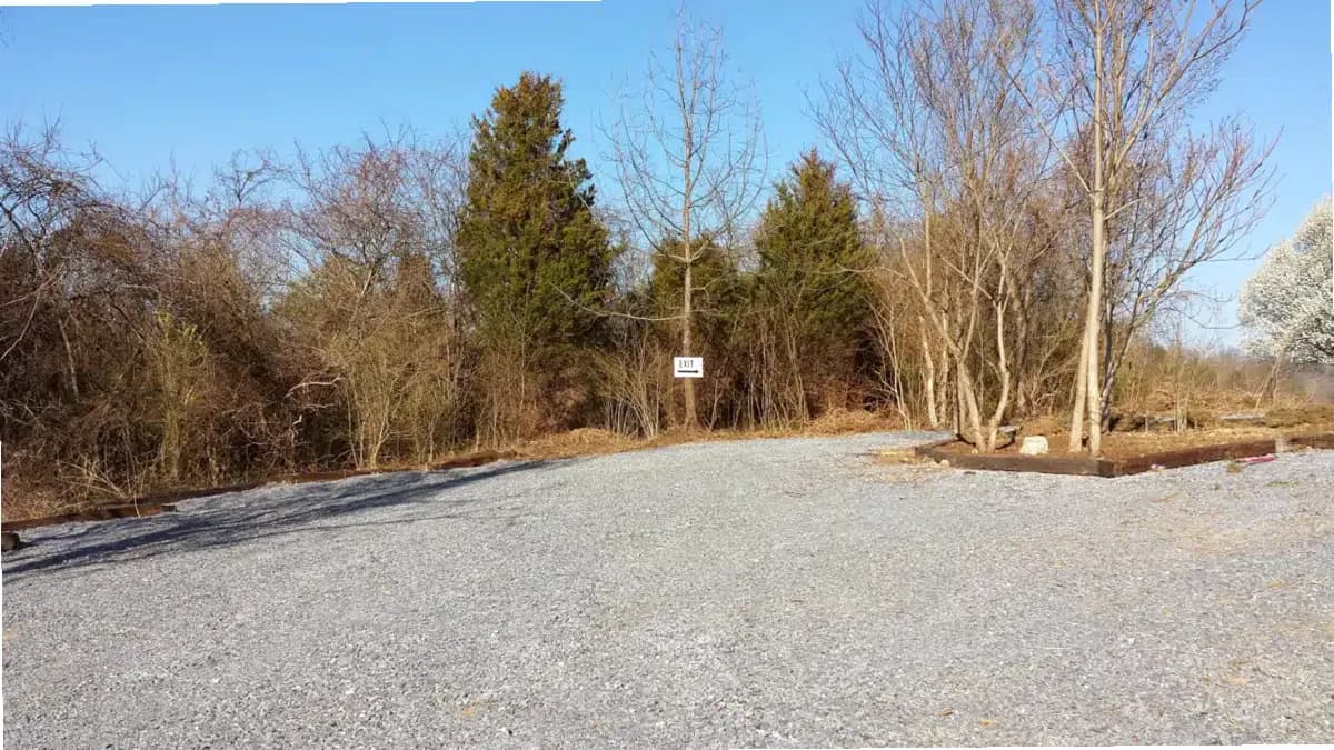 Evidence Based Addiction Medicine — photo thumbnail 8