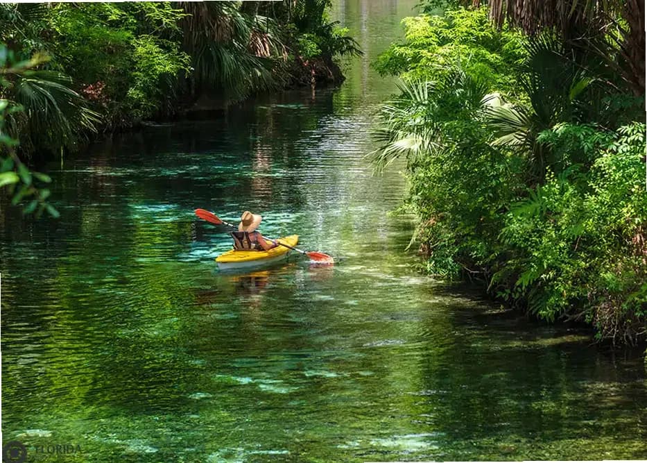 Florida Addiction and Recovery Ctr — photo thumbnail 6