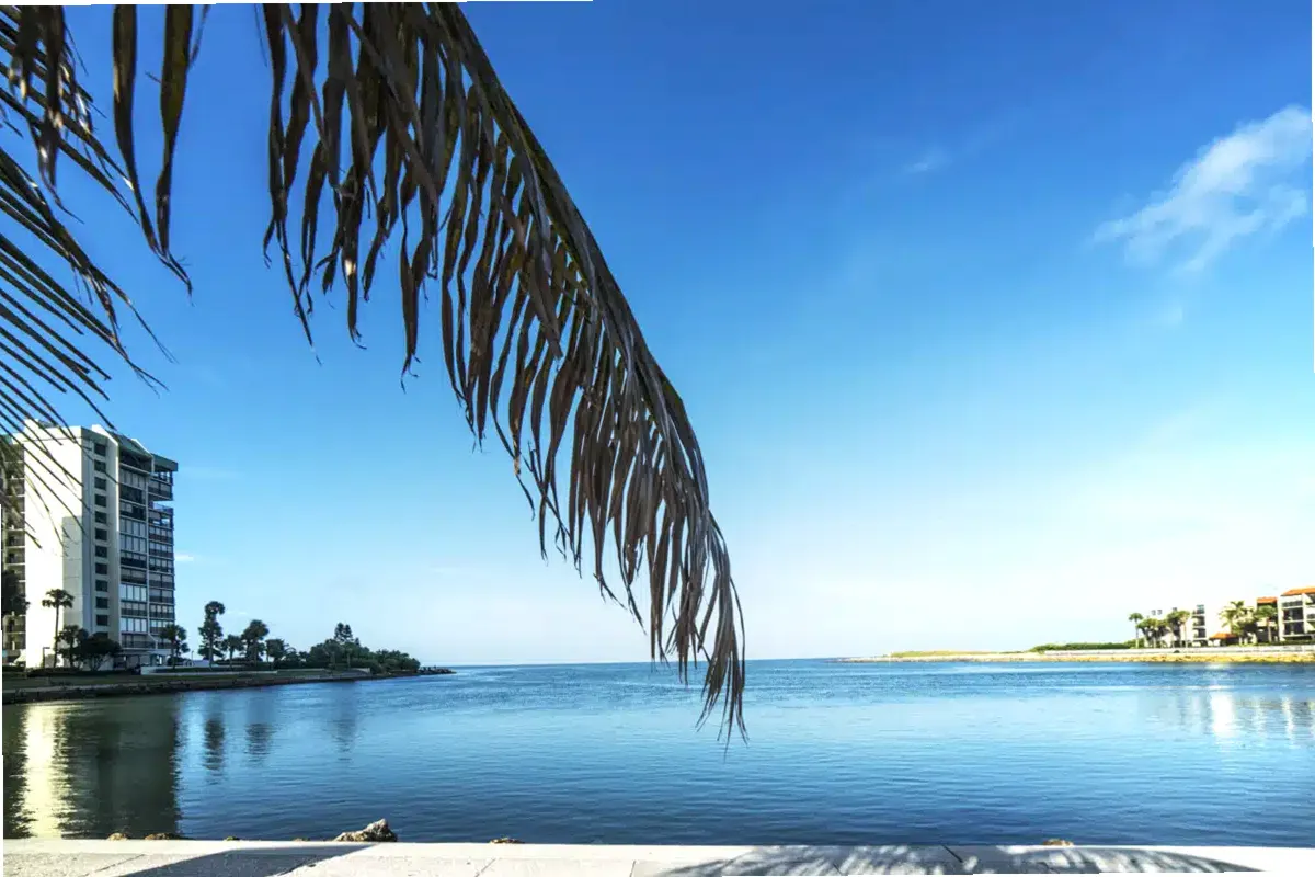 Footprints Beachside Recovery — photo thumbnail 9