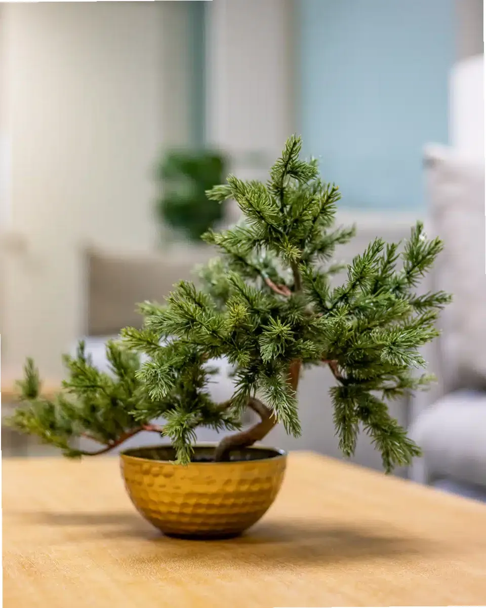 Guest House Ocala — photo thumbnail 9