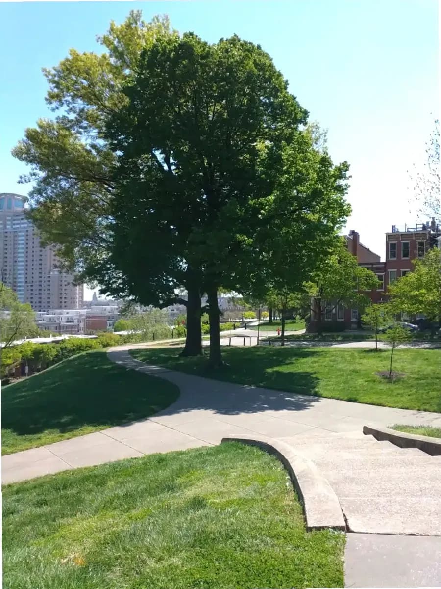 Helping Up Mission — photo thumbnail 4