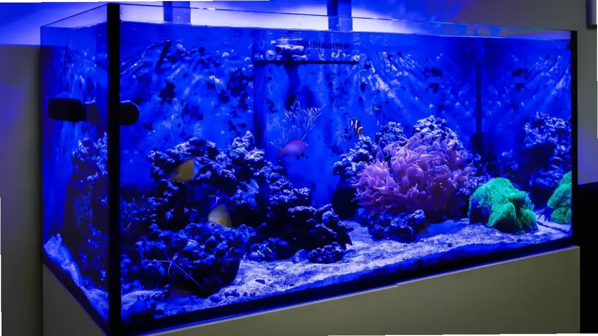 Ignite Recovery Center LLC — photo thumbnail 7