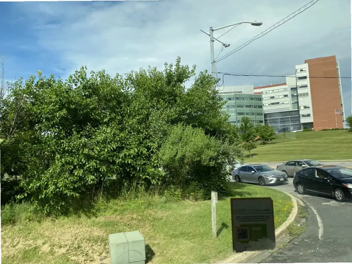 JH Bayview Medical Center — photo thumbnail 8