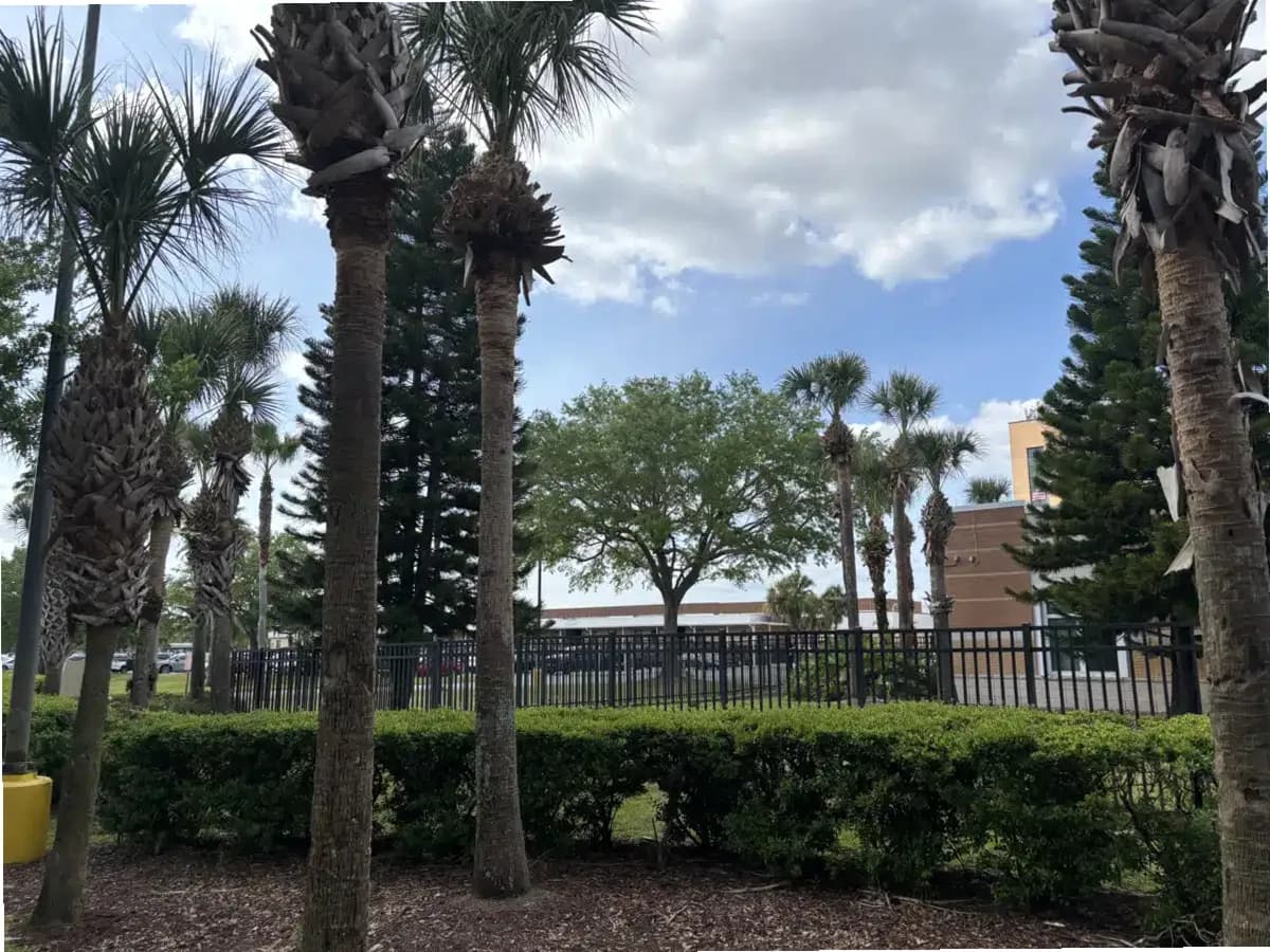 Lake Baldwin VA Clinic — photo thumbnail 3