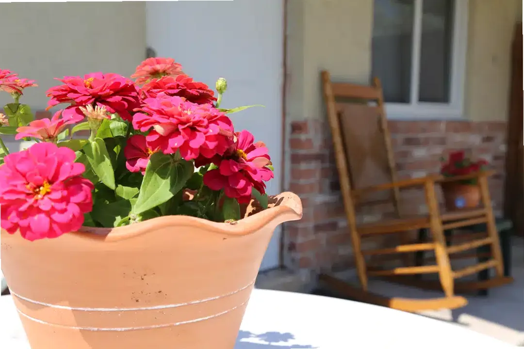 Lighthouse Recovery Institute — photo thumbnail 3