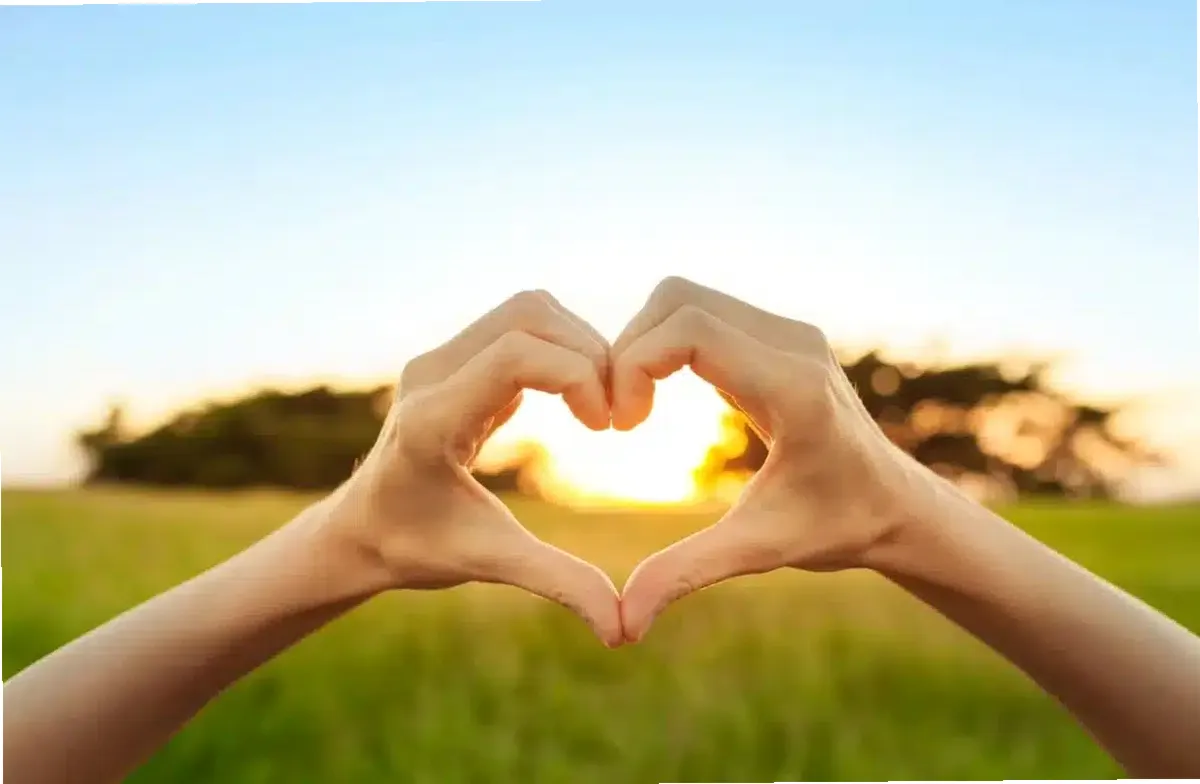 Maryland Wellness and Recovery — photo thumbnail 3