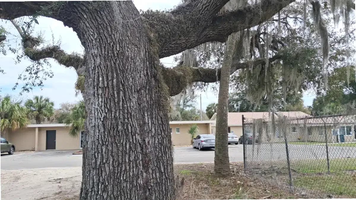 Meridian Behavioral Healthcare Inc — photo thumbnail 3