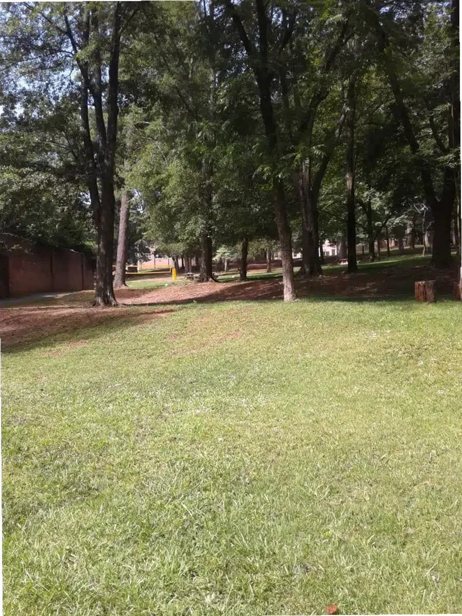 Miracle Hill — photo thumbnail 3