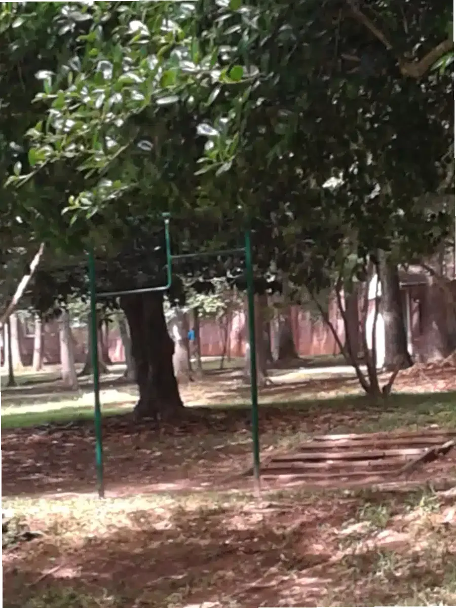 Miracle Hill — photo thumbnail 4