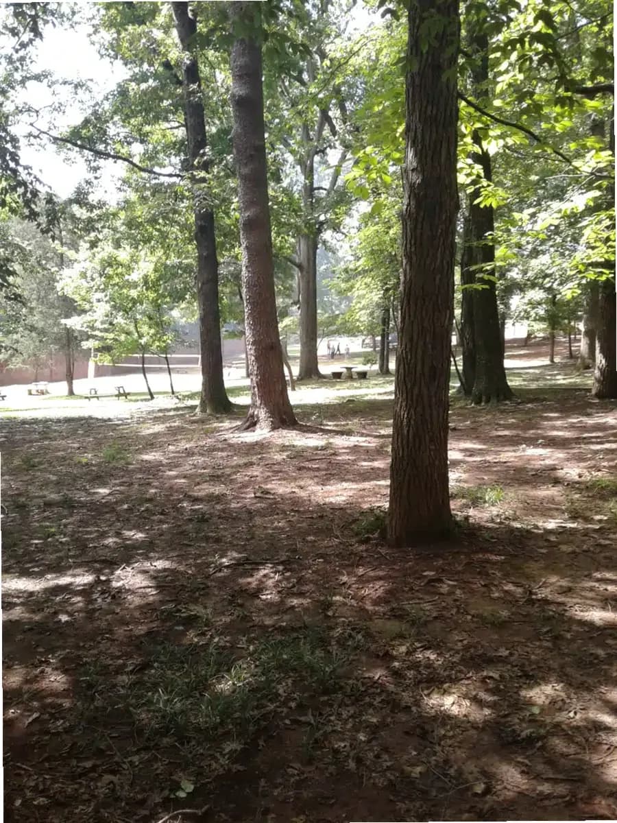 Miracle Hill — photo thumbnail 5