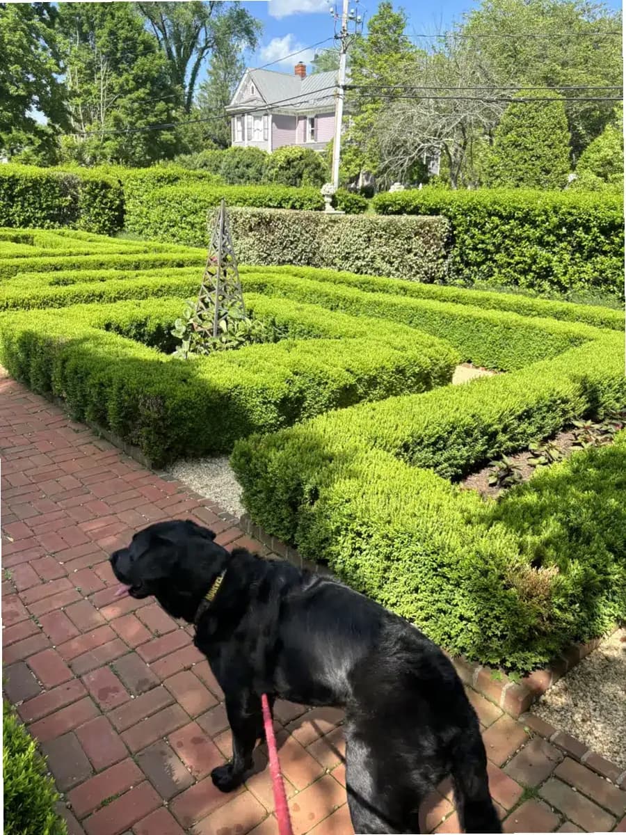 Myrtle Beach Treatment Specialists — photo thumbnail 3