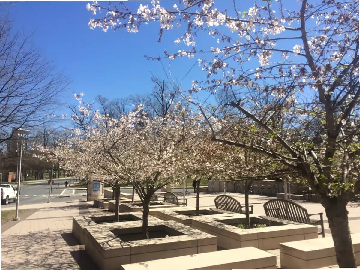 National Institutes of Health — photo thumbnail 10