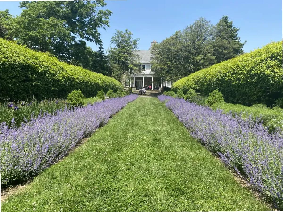 National Institutes of Health — photo thumbnail 6