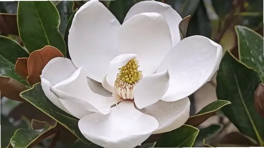 New Beginnings at Lake Charles LLC — photo thumbnail 3