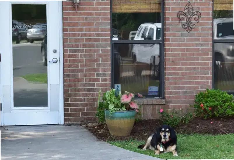 New Beginnings at Lake Charles LLC — photo thumbnail 5