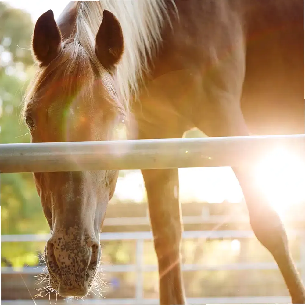 Newport Academy — photo thumbnail 4