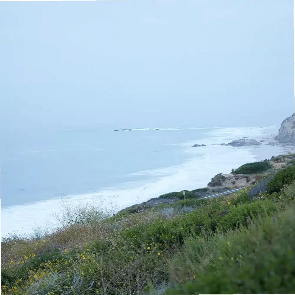 Newport Academy — photo thumbnail 5