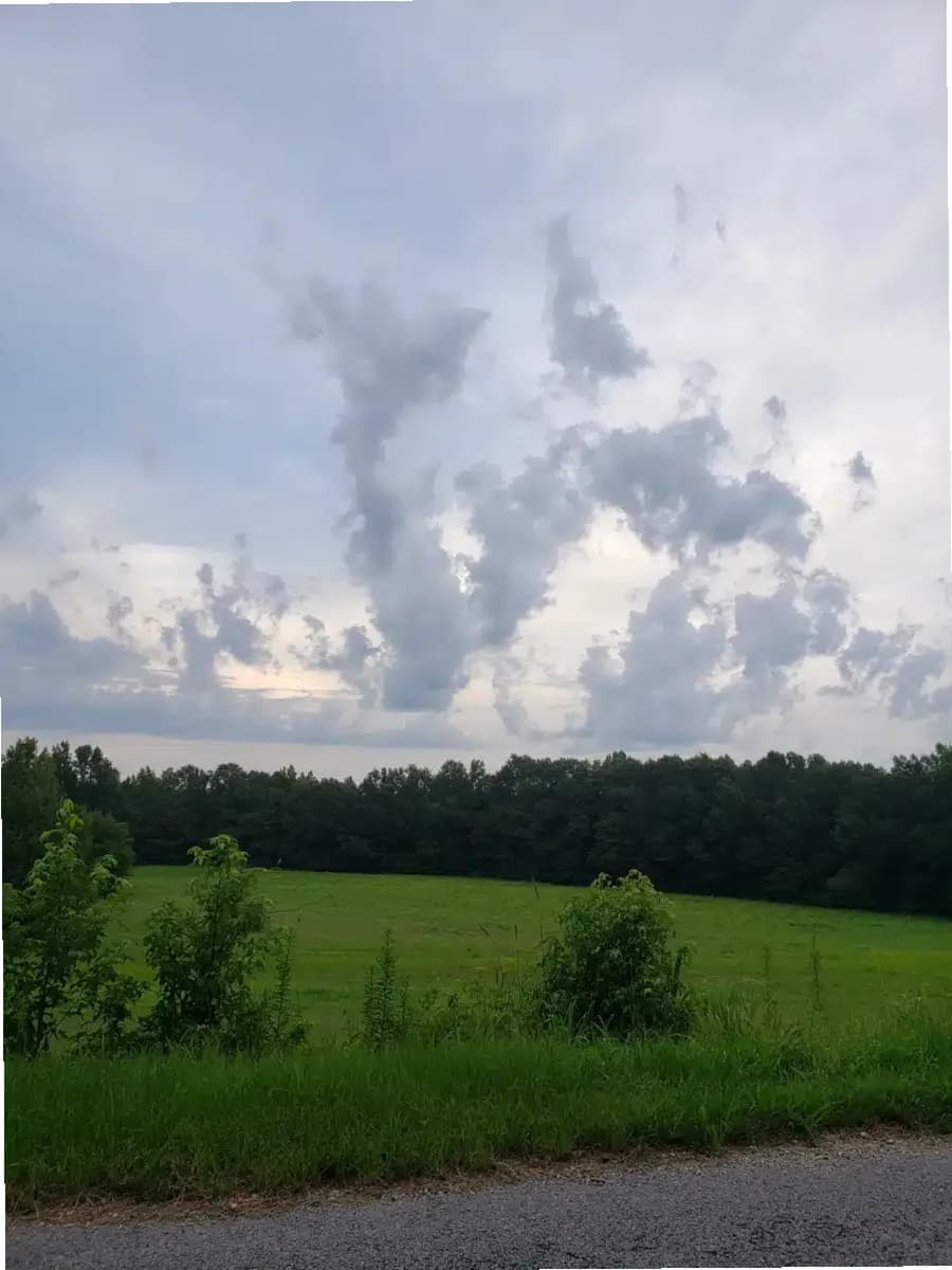 Northwest Alabama Mental Health Ctr — photo thumbnail 3