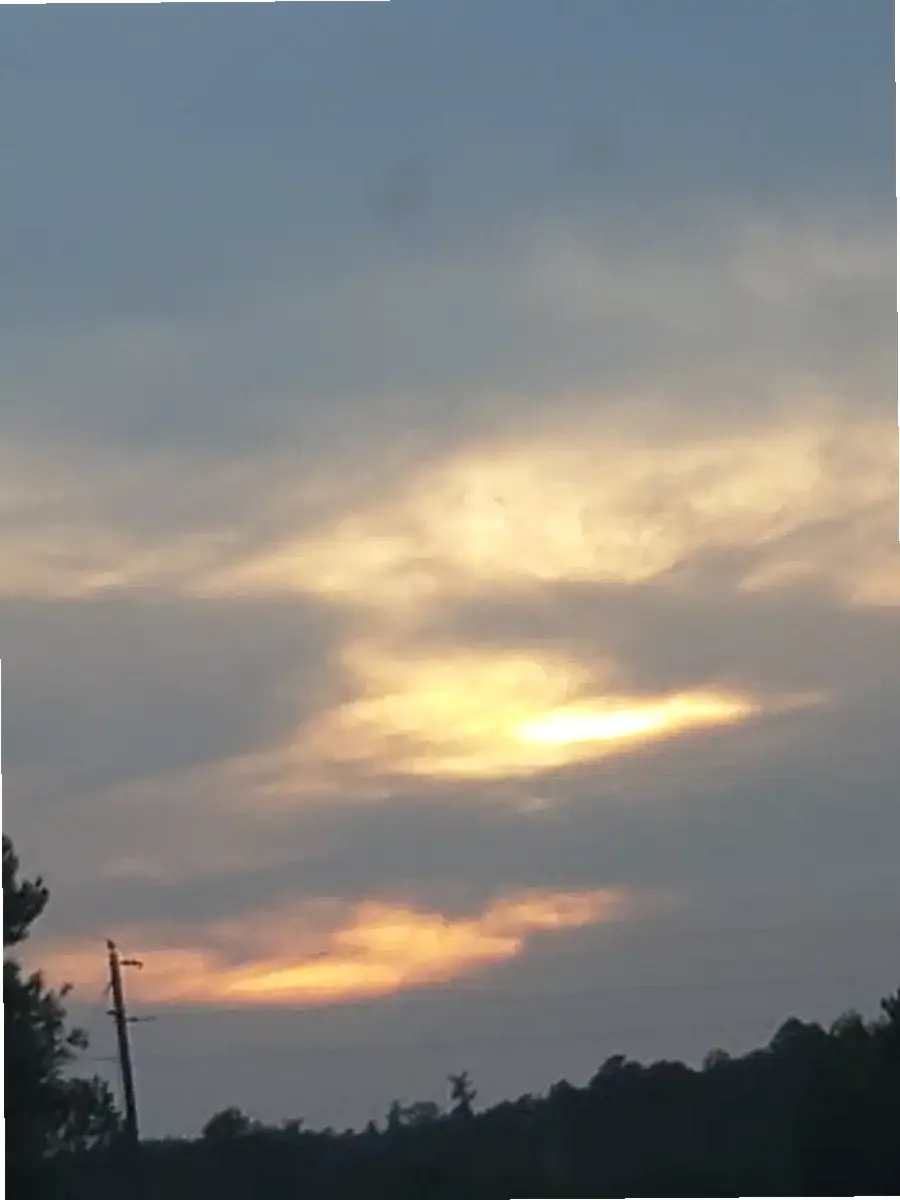 Northwest Alabama Mental Health Ctr — photo thumbnail 4