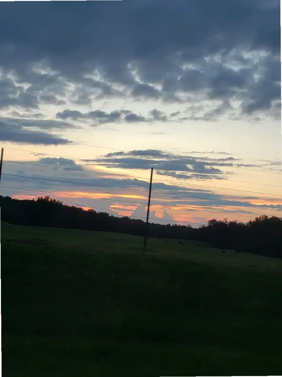 Northwest Alabama Mental Health Ctr — photo thumbnail 6