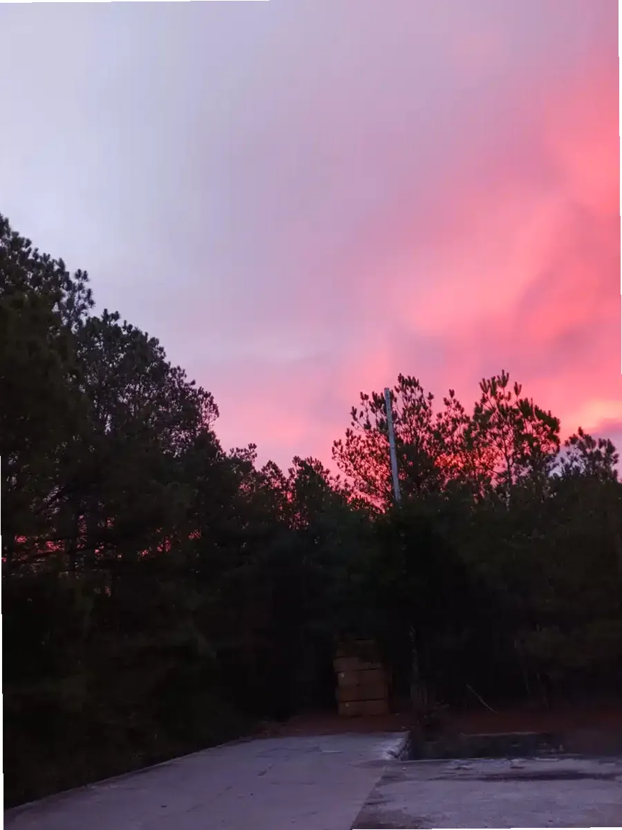 Northwest Alabama Mental Health Ctr — photo thumbnail 8