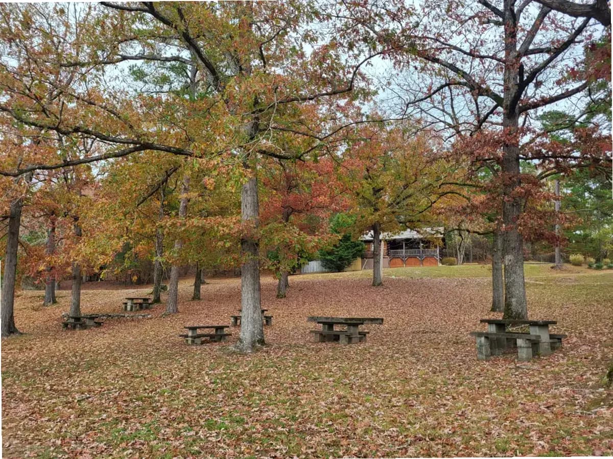 Oasis Renewal Center — photo thumbnail 2