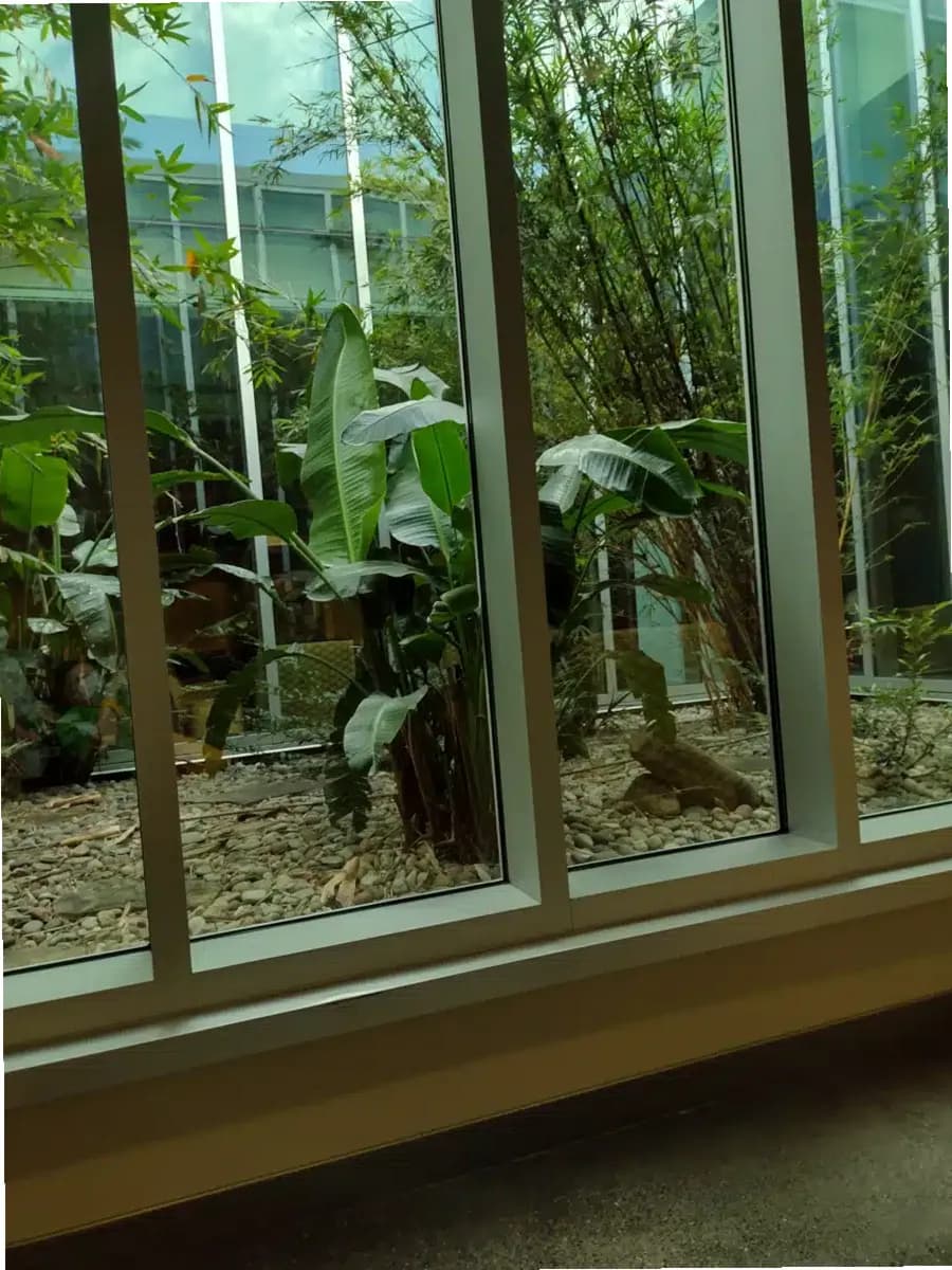 Ochsner Addictive Behavior Unit — photo thumbnail 9