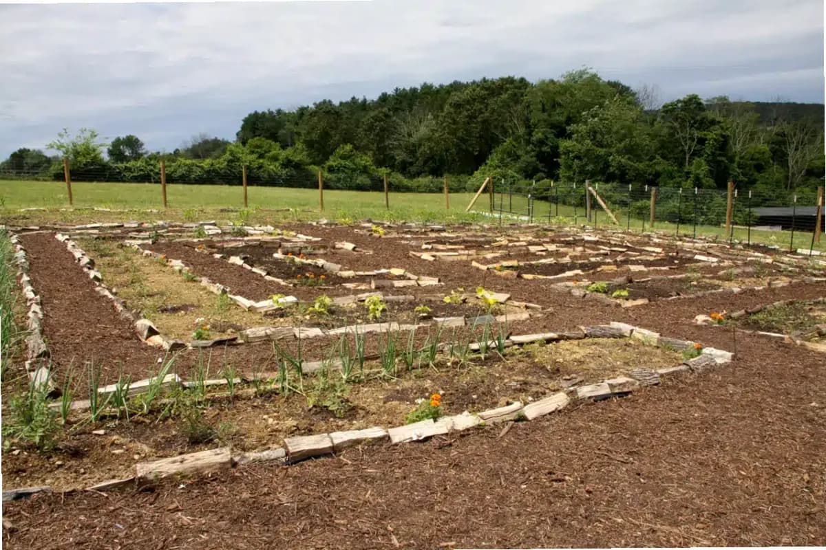 Orenda Center for Wellness LLC — photo thumbnail 6