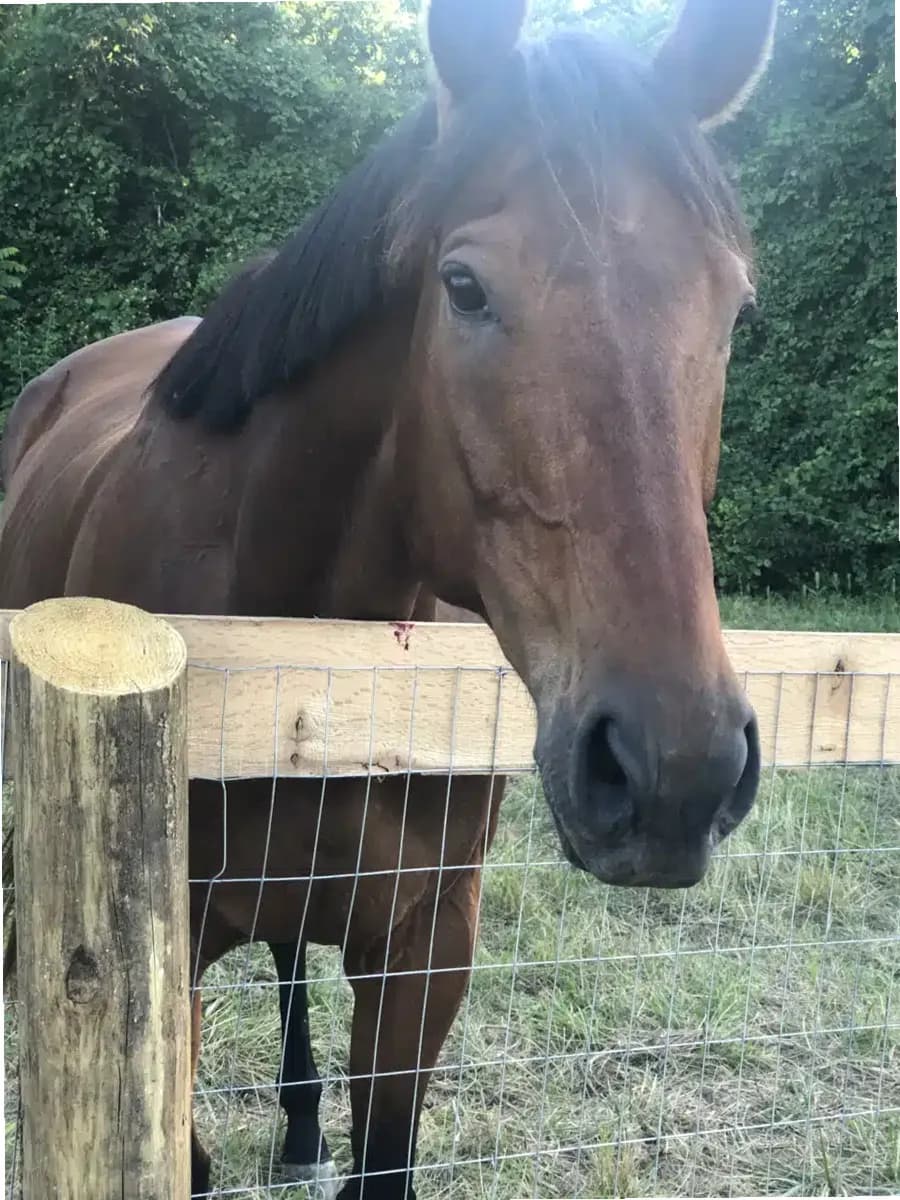 Orenda Center for Wellness LLC — photo thumbnail 7