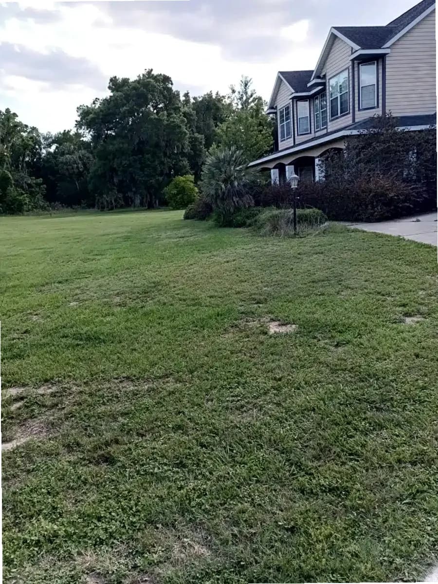 SMA Adult Residential — photo thumbnail 3