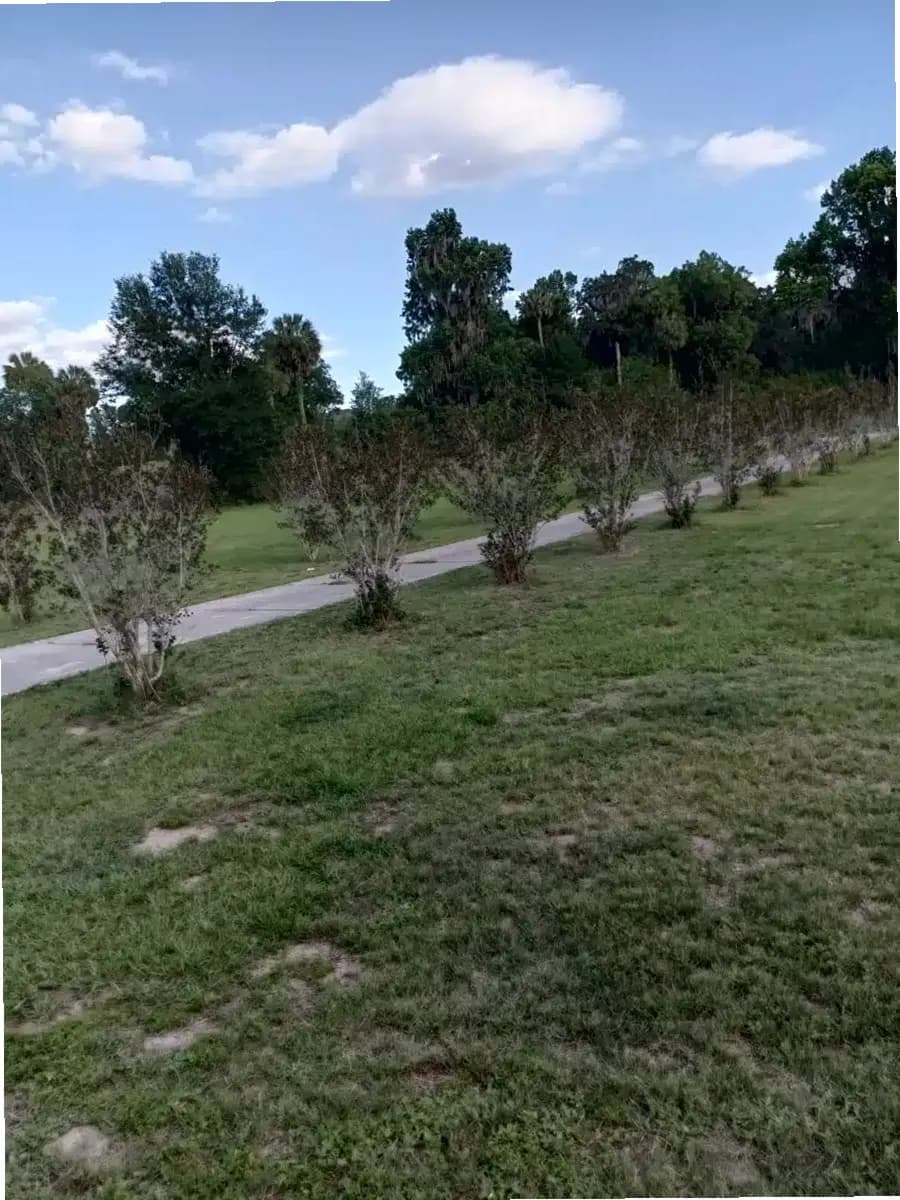 SMA Adult Residential — photo thumbnail 4